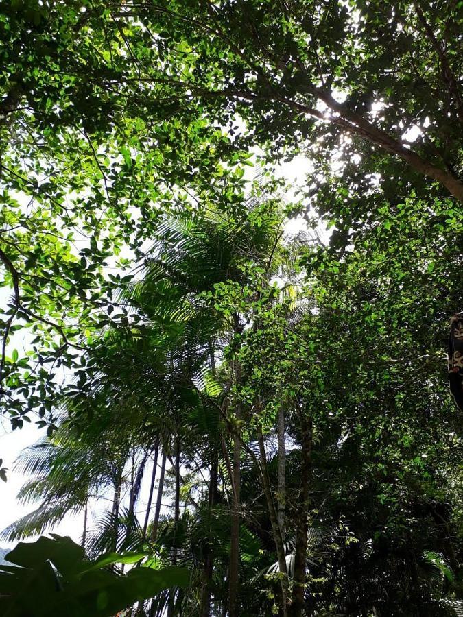 Sumatra Ecolodge Сао Себастиао Екстериор снимка
