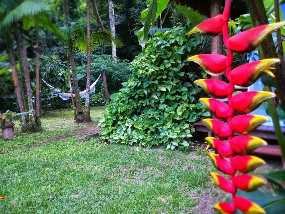 Sumatra Ecolodge Сао Себастиао Екстериор снимка